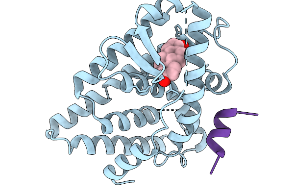 9N28 image