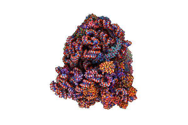 9N2B image