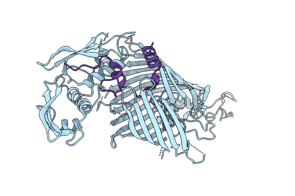 9N2E image