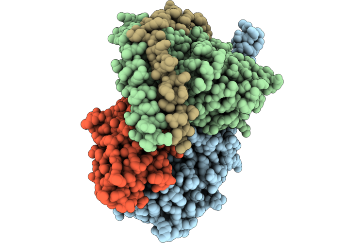 9N2I image
