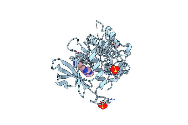 9N2O image
