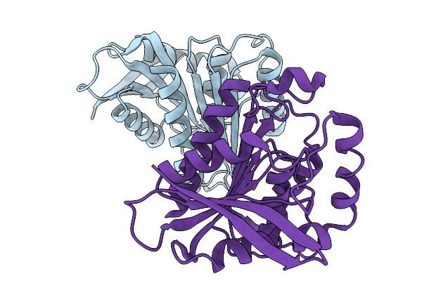 9N2W image