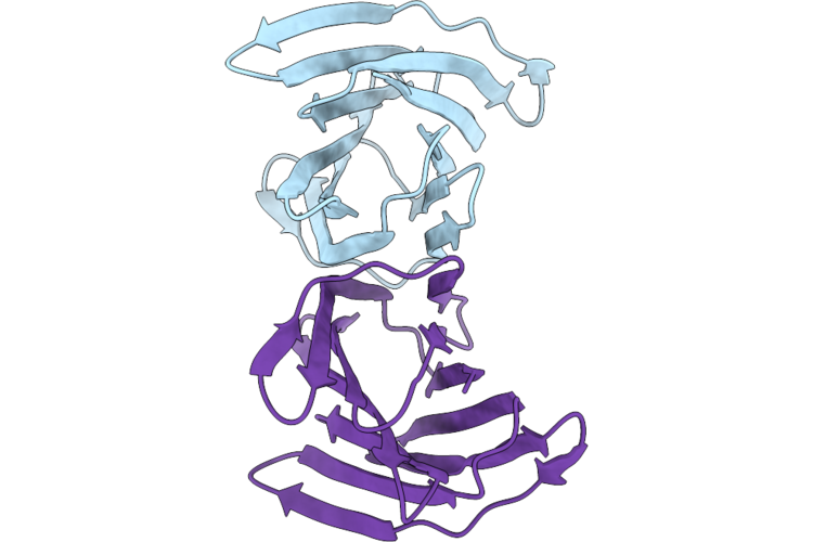 9N2X image