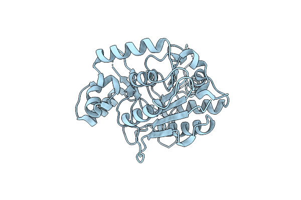 9N3D image