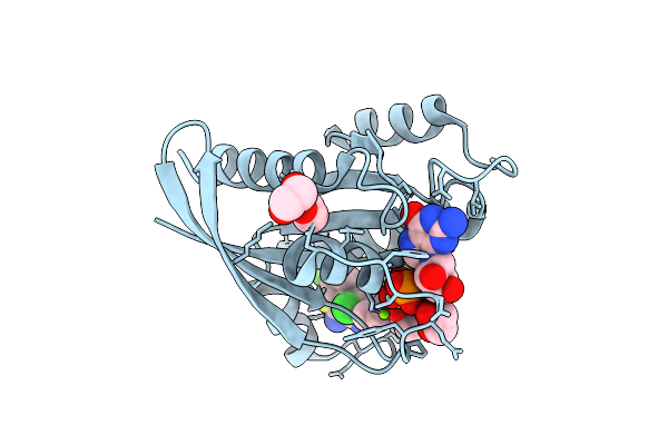 9N44 image