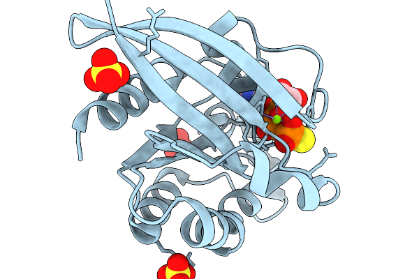 9N4B image