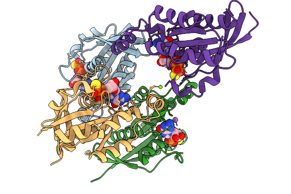 9N4C image