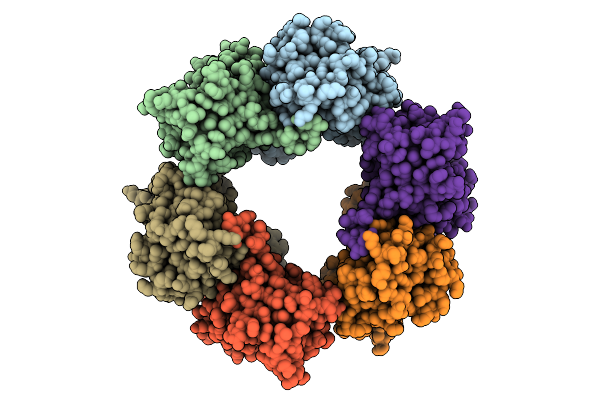 9N4D image