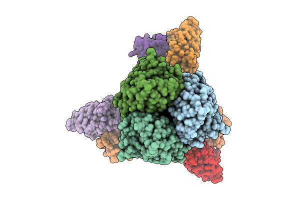 9N4E image