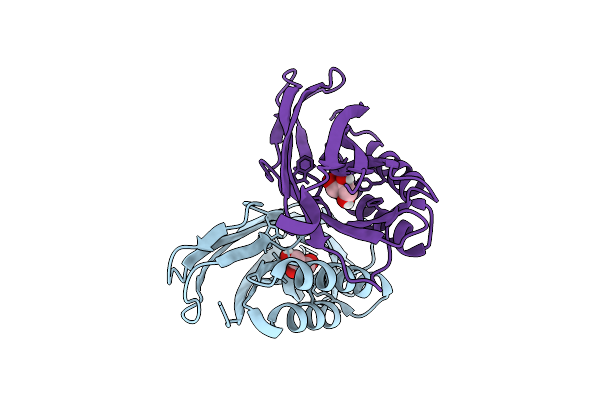 9N4G image