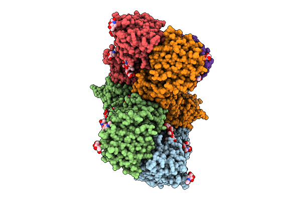 9N4P image