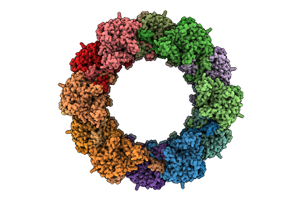 9N4V image