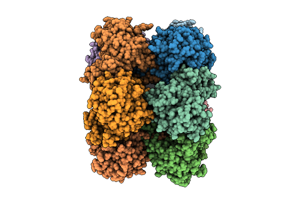 9N4X image
