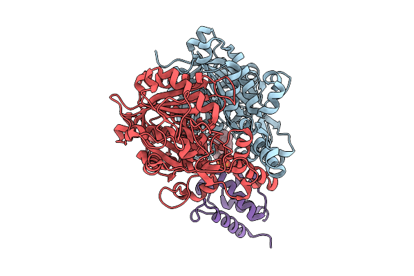 9N50 image