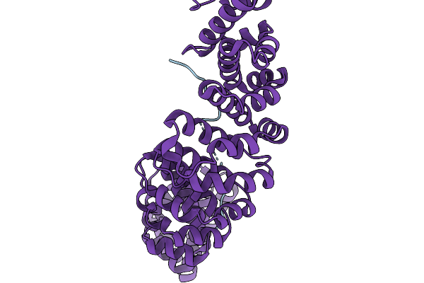 9N54 image