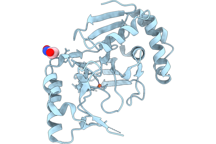 9N57 image