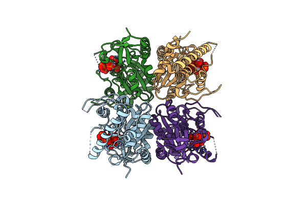 9N58 image
