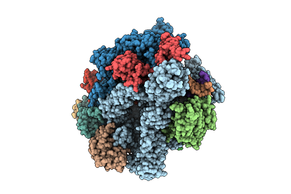 9N5C image