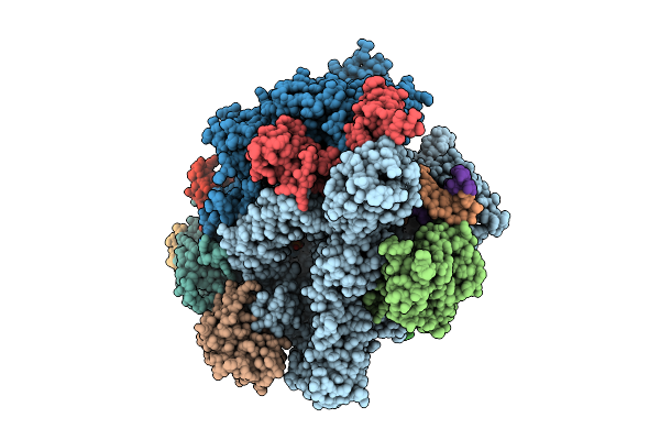 9N5D image