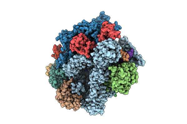 9N5E image