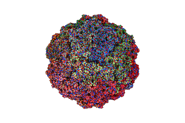 9N5M image