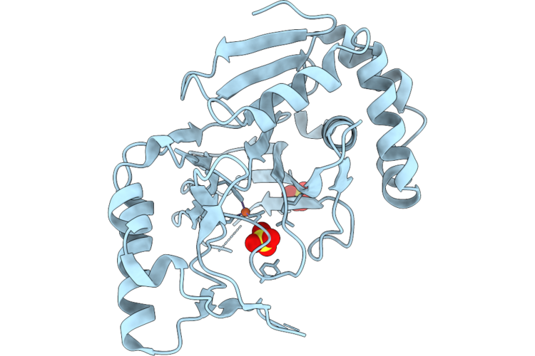 9N5S image