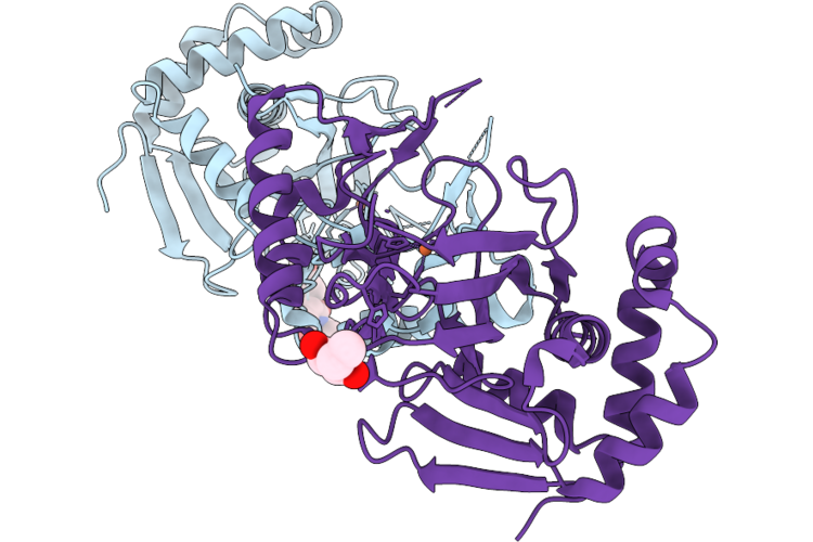 9N5W image