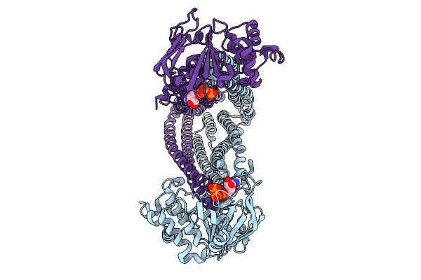 9N62 image