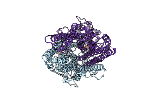 9N63 image