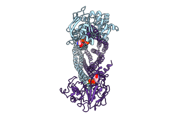 9N65 image
