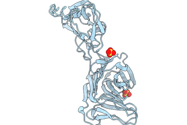 9N6A image