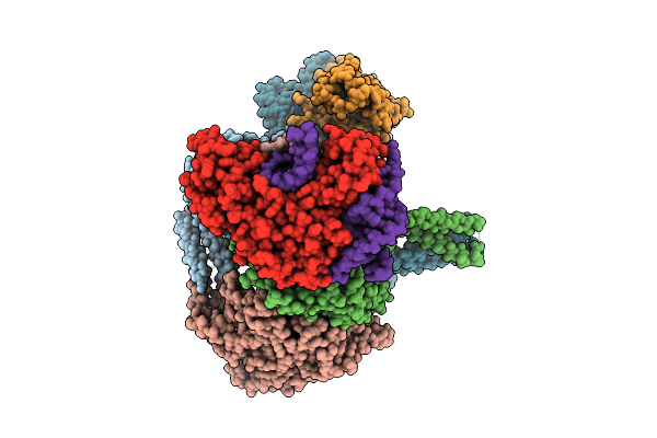 9N6B image
