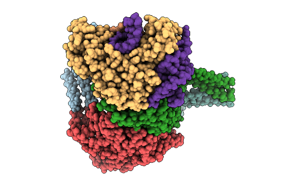 9N6C image