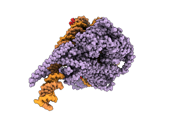 9N6K image