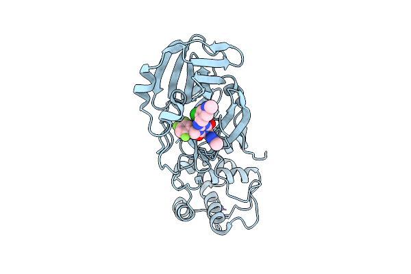 9N6P image