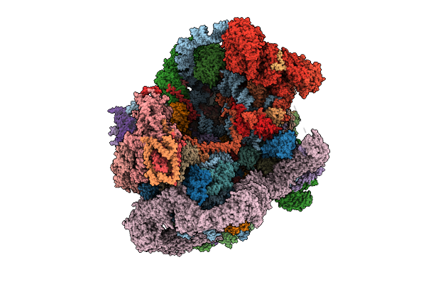 9N6V image