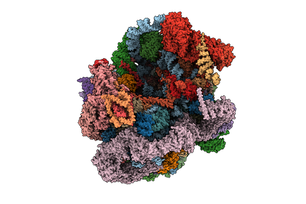 9N6X image