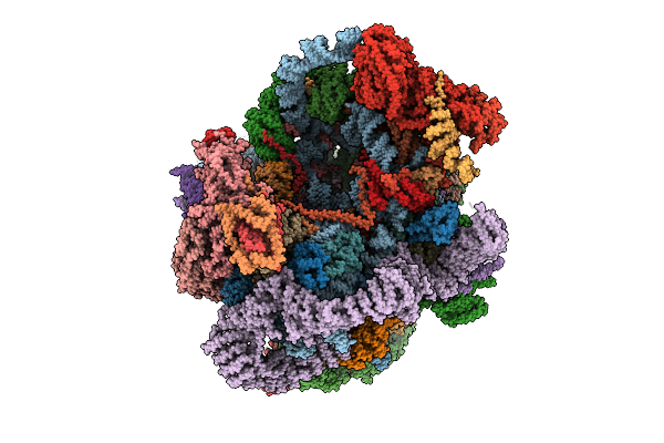 9N6Z image