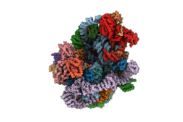 9N70 image