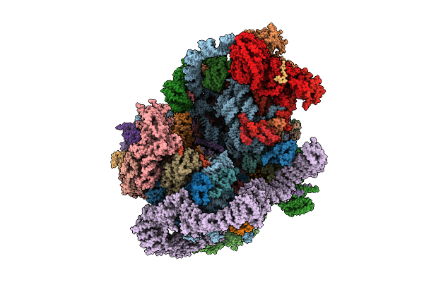 9N72 image