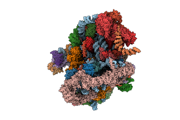 9N74 image