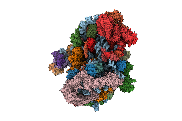 9N75 image