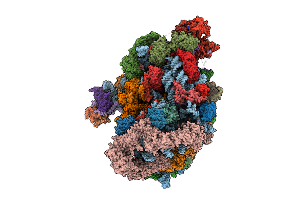 9N77 image