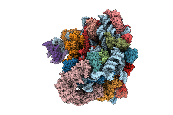 9N79 image