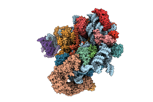 9N7A image