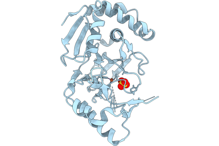 9N7P image