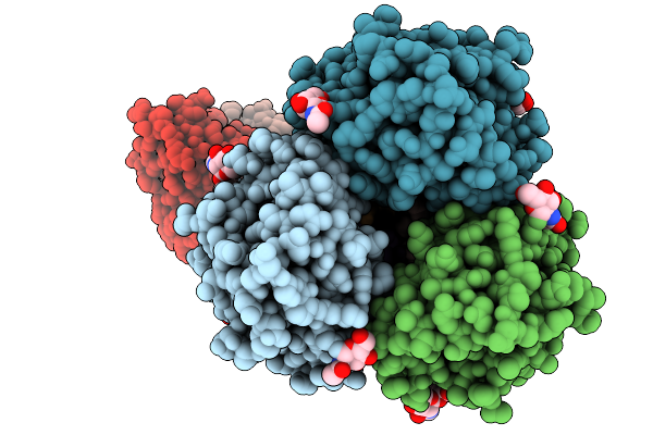 9N7V image