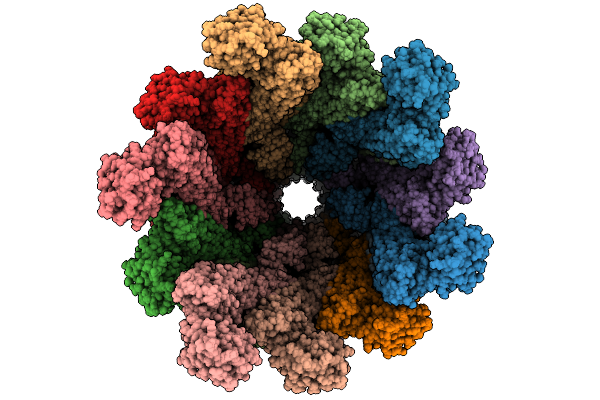 9N8A image