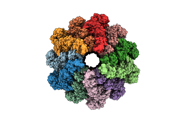9N8B image