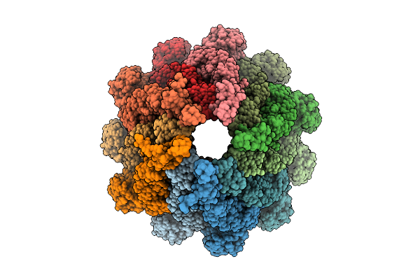 9N8G image